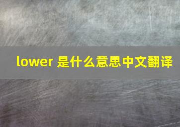 lower 是什么意思中文翻译